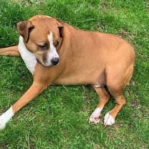 Meet your Posher, Ariel